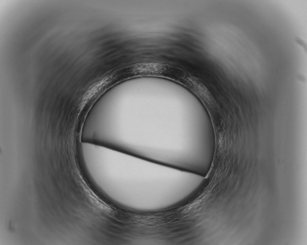 X0000097300725200802151121