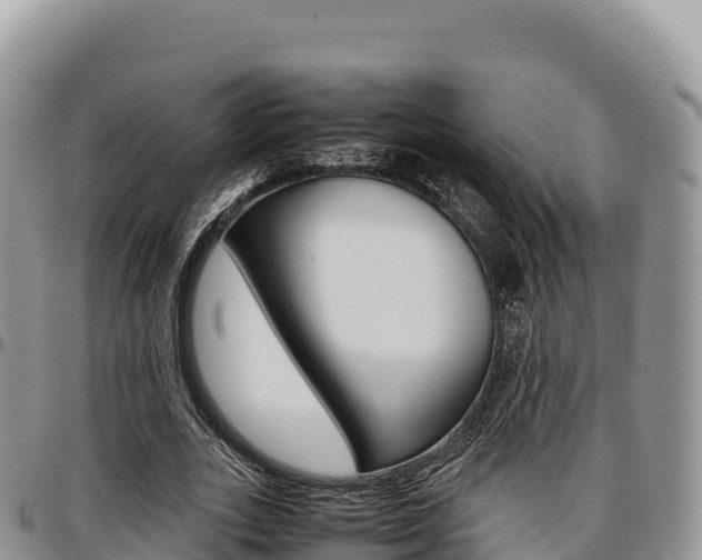 X0000097300727200802151121