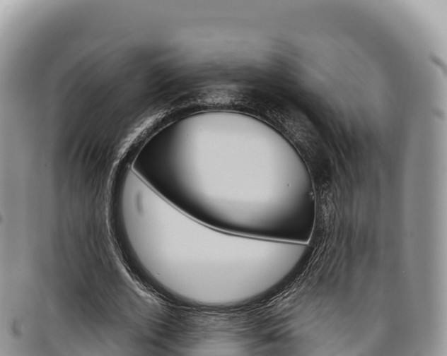 X0000097300728200802151121