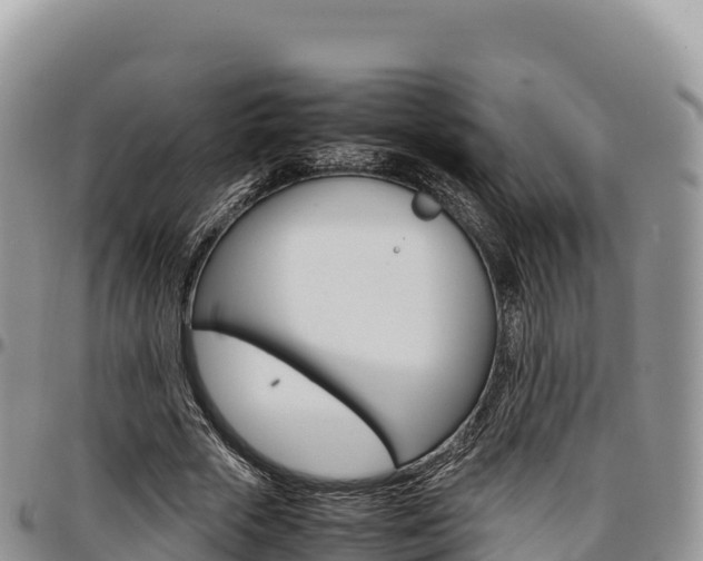 X0000097300729200802151121