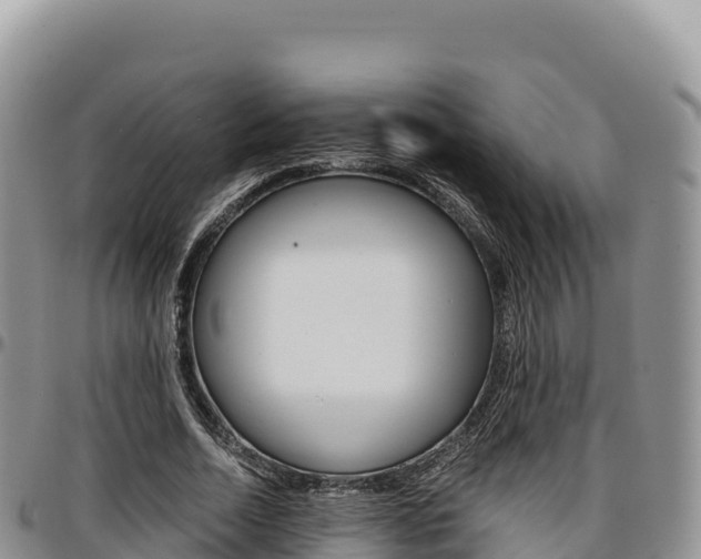 X0000097300730200802151121