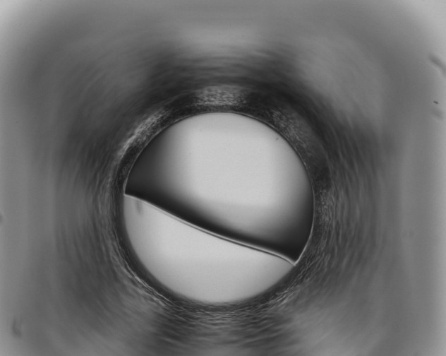 X0000097300731200802151121