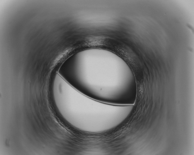 X0000097300732200802151121