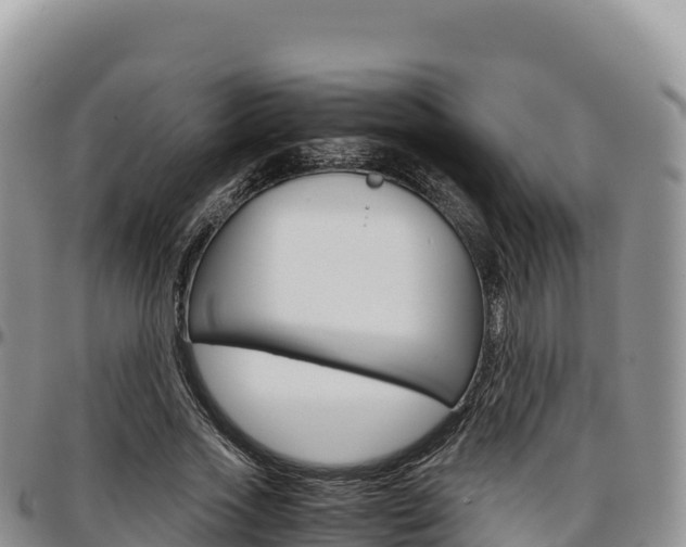 X0000097300733200802151121