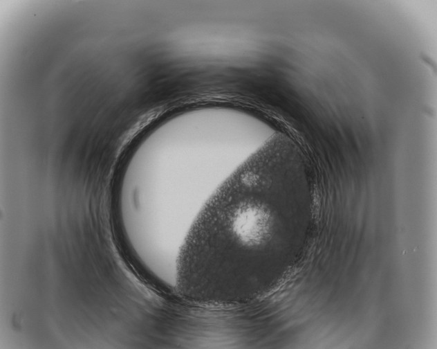 X0000097300734200802151121