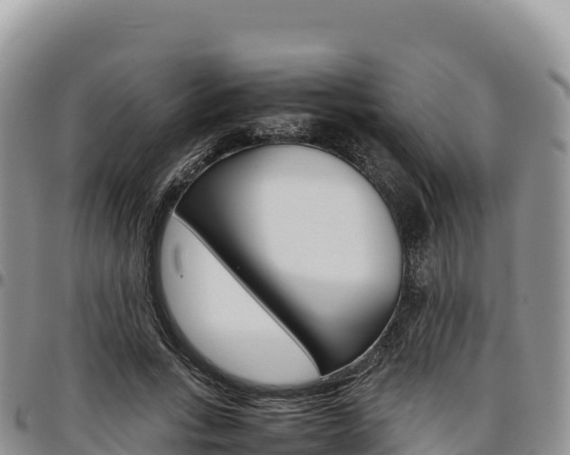 X0000097300735200802151121