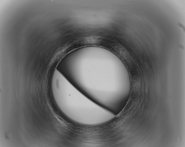 X0000097300736200802151121