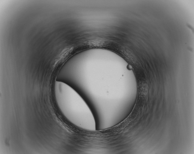X0000097300738200802151121