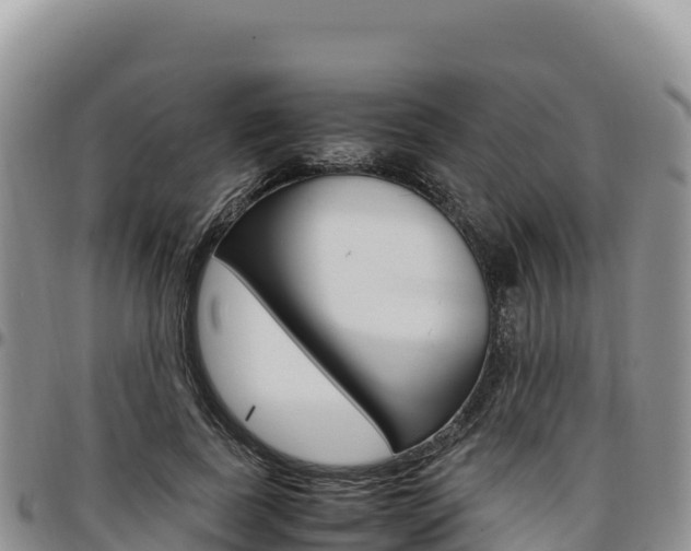 X0000097300739200802151121