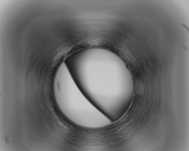 X0000097300740200802151121