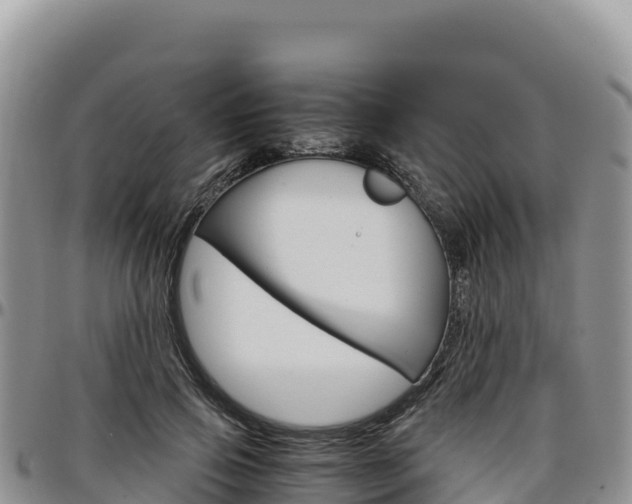 X0000097300741200802151121