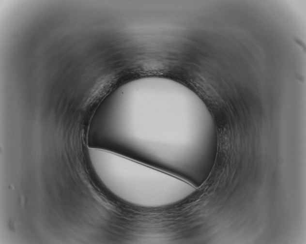 X0000097300742200802151121