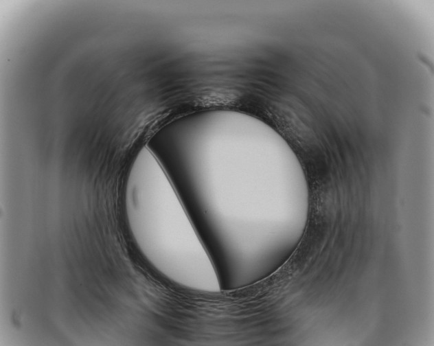 X0000097300743200802151121
