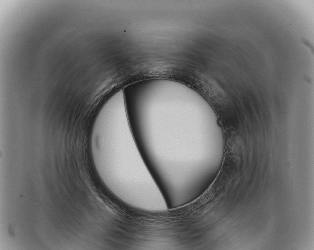 X0000097300744200802151121
