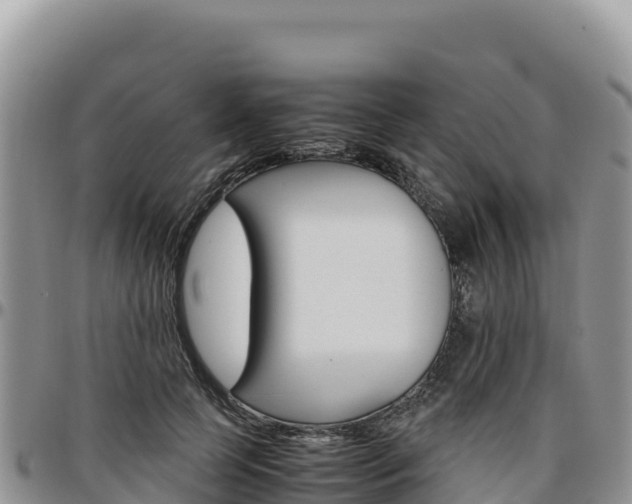 X0000097300745200802151121