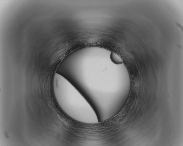 X0000097300746200802151121