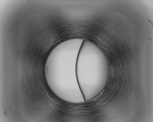 X0000097300747200802151121