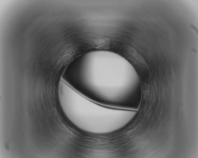 X0000097300748200802151121