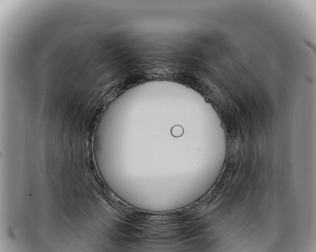 X0000097300749200802151121