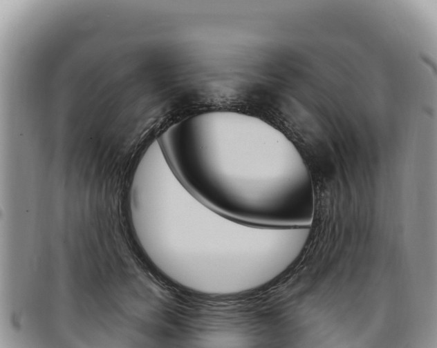 X0000097300750200802151121