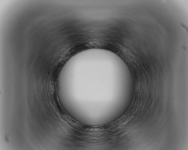 X0000097300751200802151121