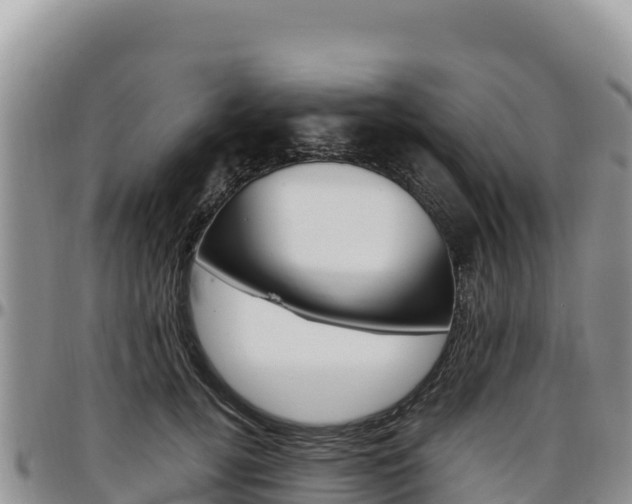 X0000097300752200802151121