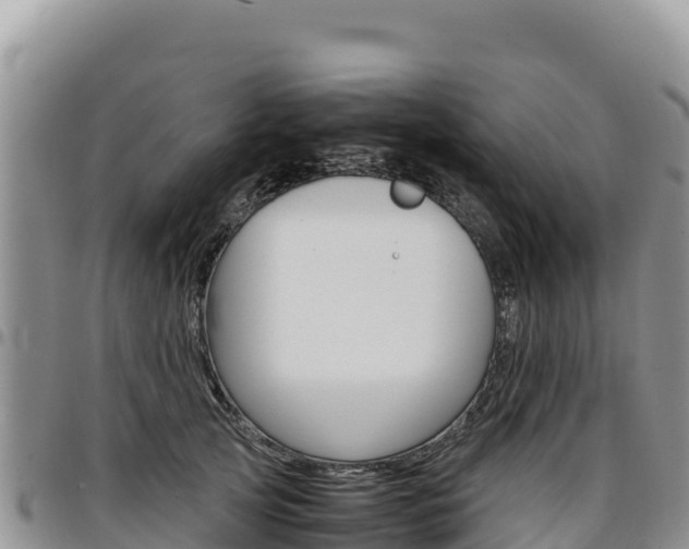 X0000097300753200802151121