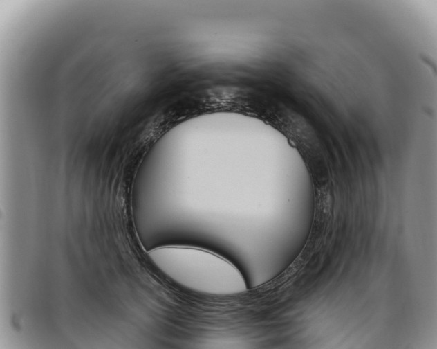 X0000097300754200802151122