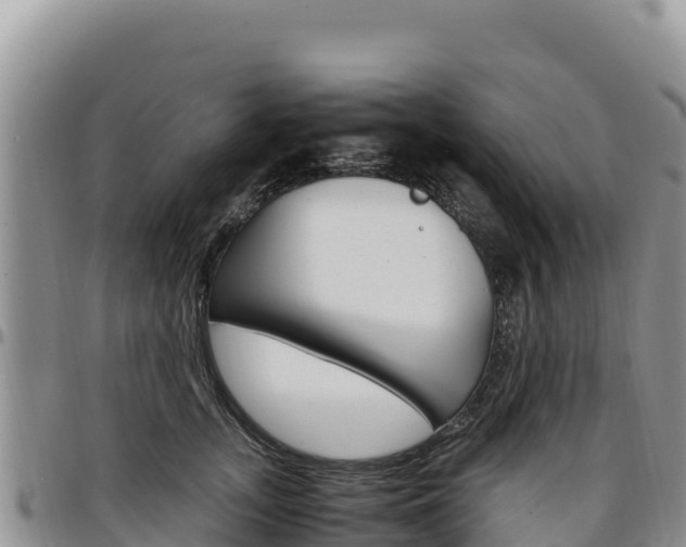 X0000097300755200802151122