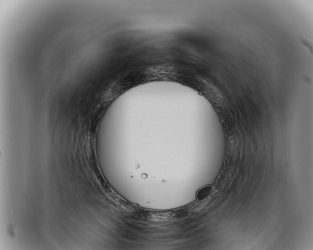 X0000097300757200802151122