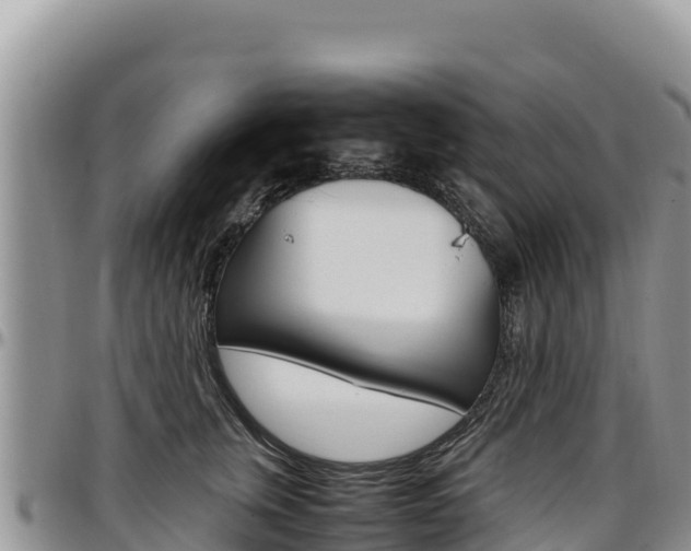 X0000097300759200802151122