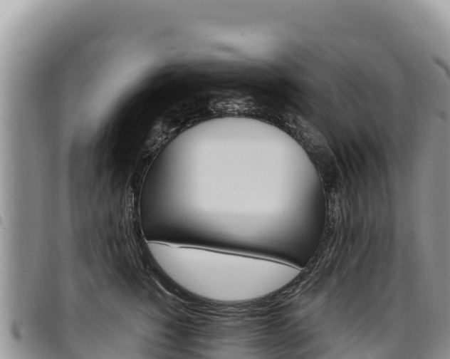 X0000097300760200802151122