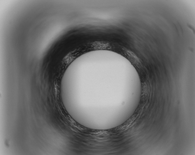 X0000097300761200802151122