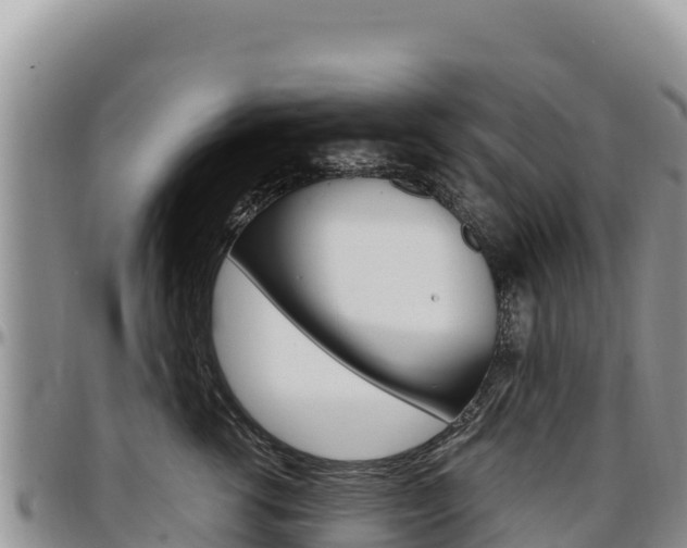 X0000097300762200802151122