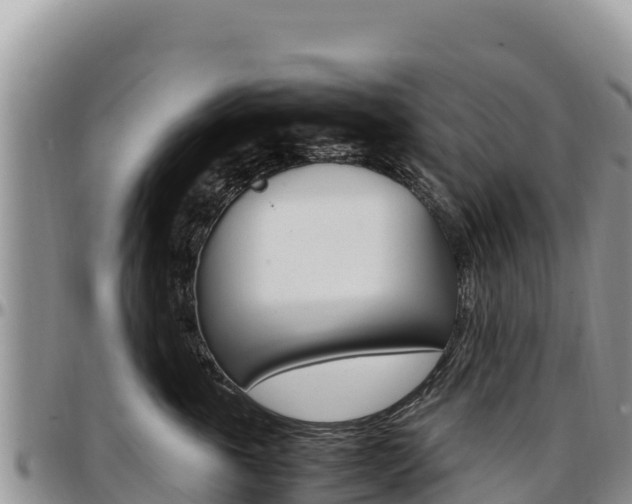X0000097300763200802151122