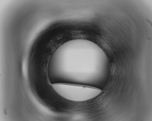 X0000097300764200802151122