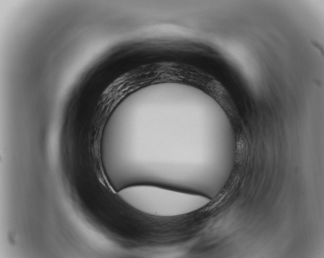 X0000097300765200802151122