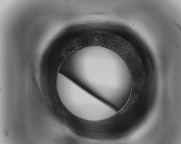X0000097300766200802151122