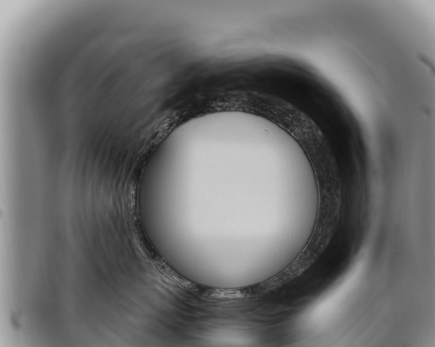 X0000097300767200802151122