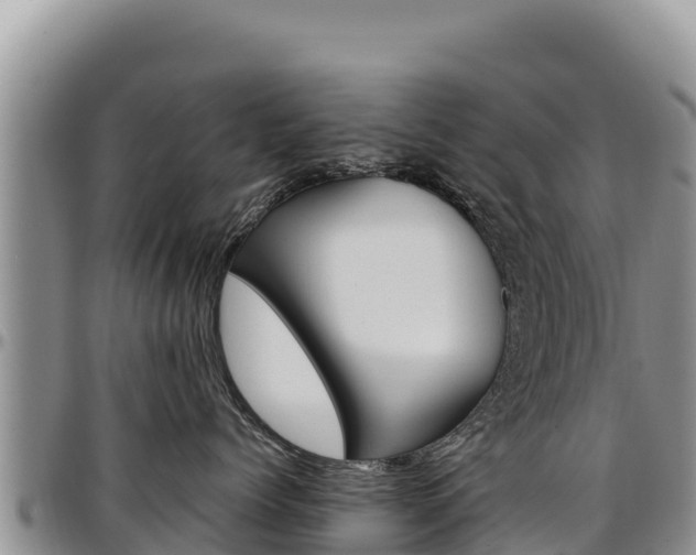 X0000097300768200802151122