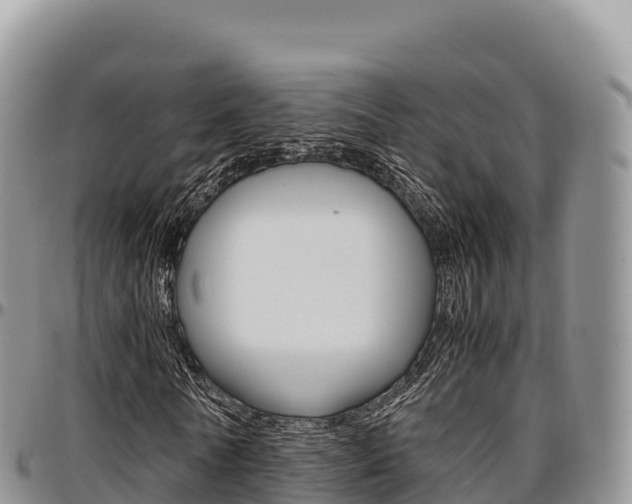 X0000097300770200802151121