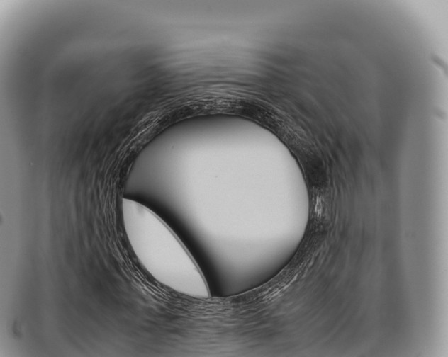 X0000097300771200802151121