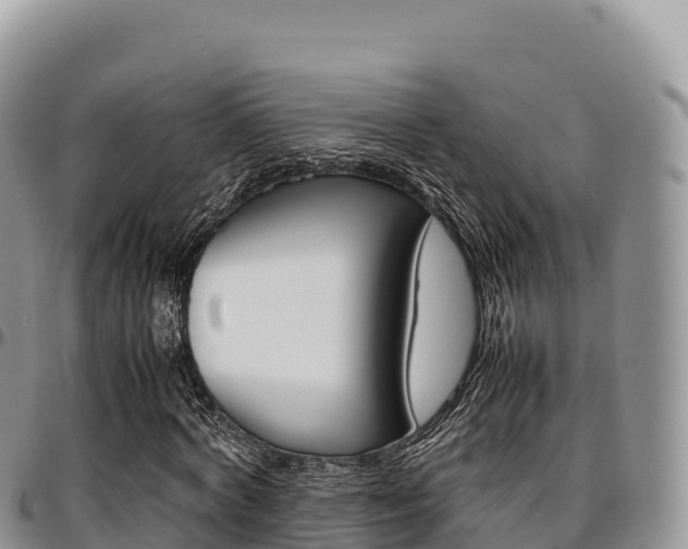 X0000097300772200802151121