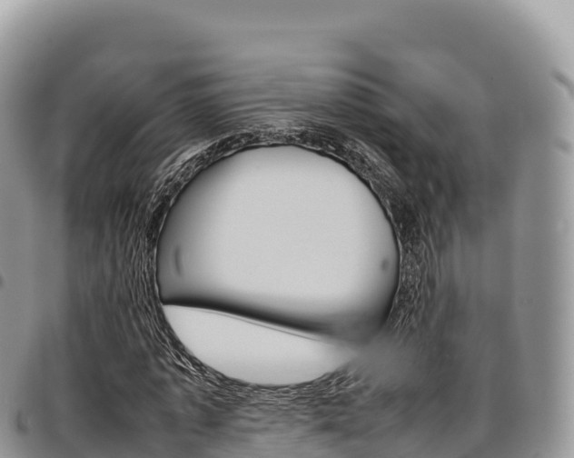 X0000097300773200802151121