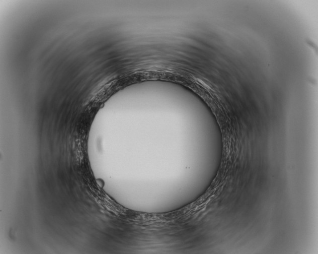 X0000097300774200802151121