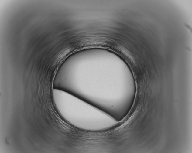 X0000097300777200802151121