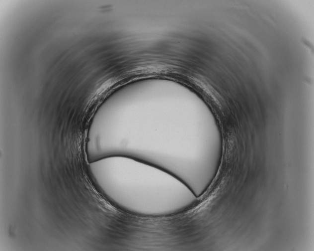X0000097300778200802151121