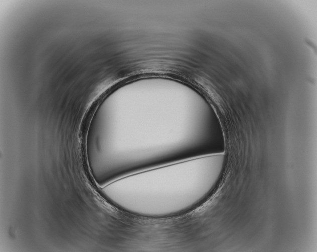 X0000097300779200802151121