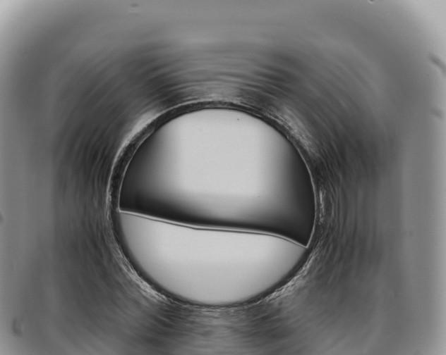 X0000097300780200802151121
