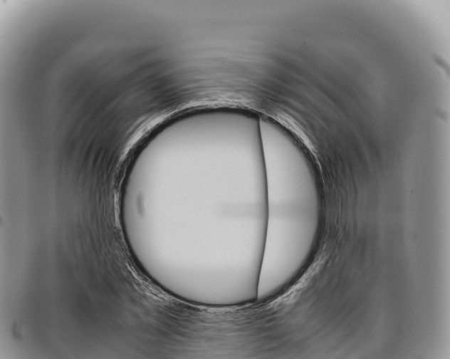 X0000097300781200802151121
